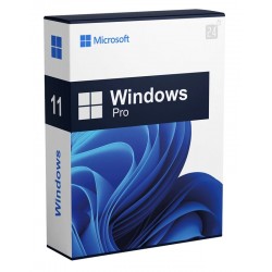 Windows 11 PRO DSP PT 64BIT
